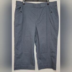 Terra & Sky Dark Gray Capris 20/22 2X EC